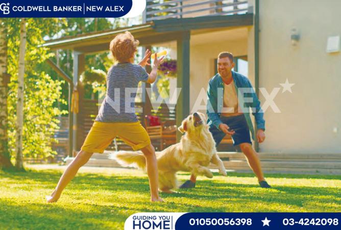 8192432 - صورة العقار 3