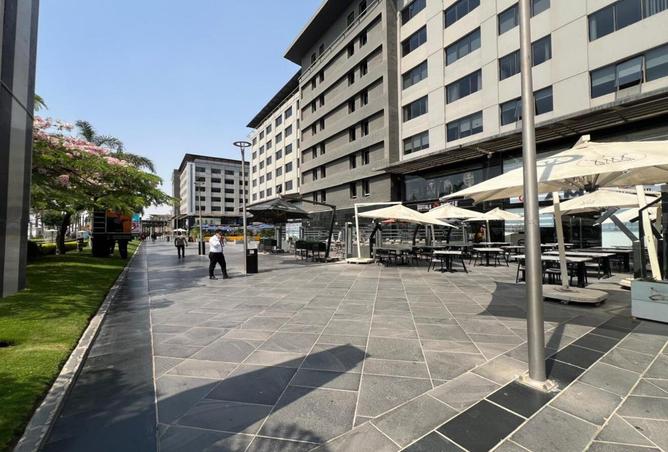 8326596 - Property Image 3