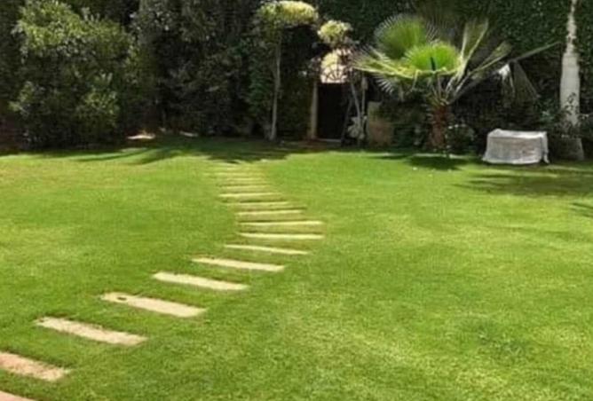 8438387 - Property Image 3