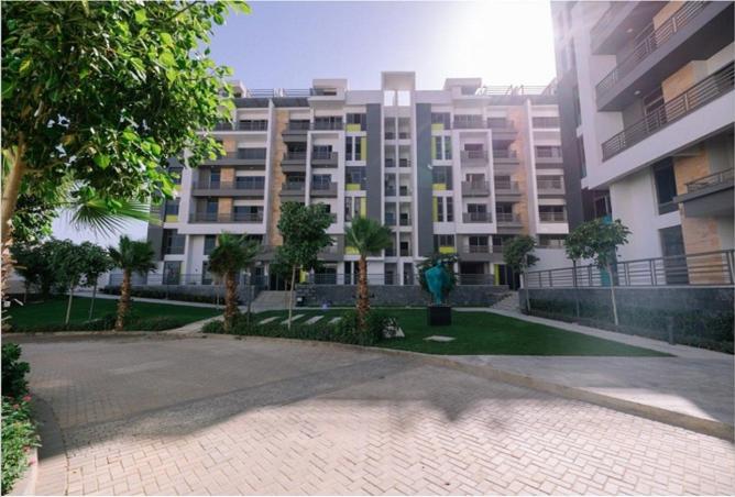 8234694 - Property Image 3