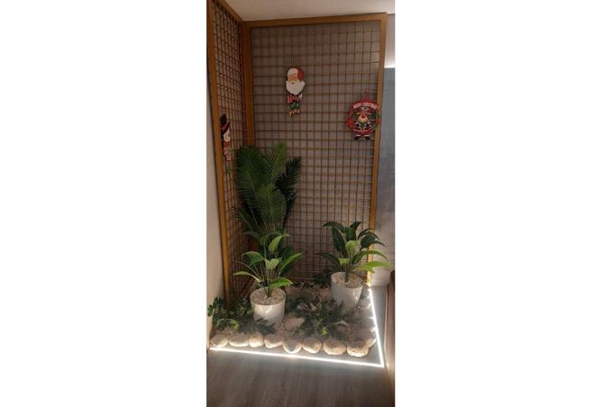 7901691 - صورة العقار 2