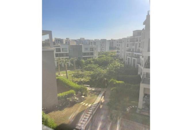 8334074 - Property Image 2