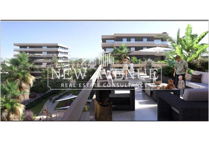 8399487 - صورة العقار 3