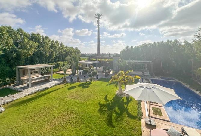 8556788 - صورة العقار 2