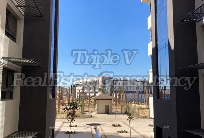 8179658 - صورة العقار 3