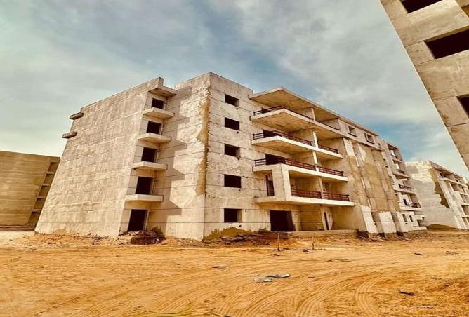7980261 - Property Image 3