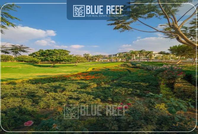 8410600 - Property Image 3