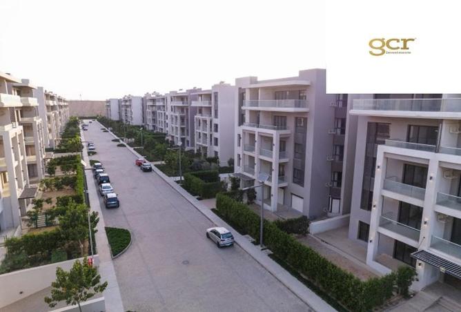 8387992 - Property Image 3