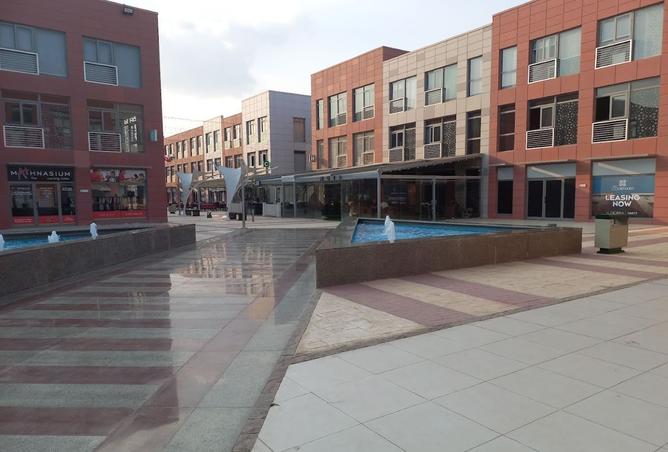 8228139 - Property Image 2