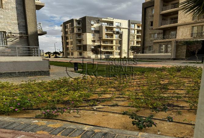 8185009 - صورة العقار 2