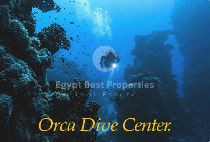 7983105 - Property Image 3