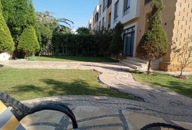 7919527 - صورة العقار 2