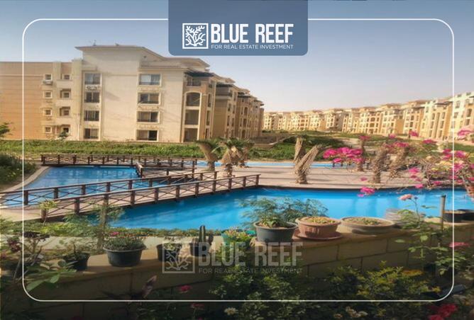 8545352 - صورة العقار 3