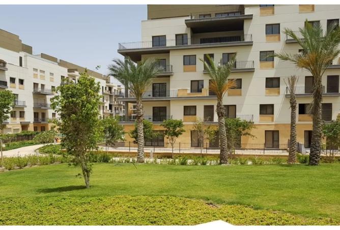 7983506 - Property Image 3