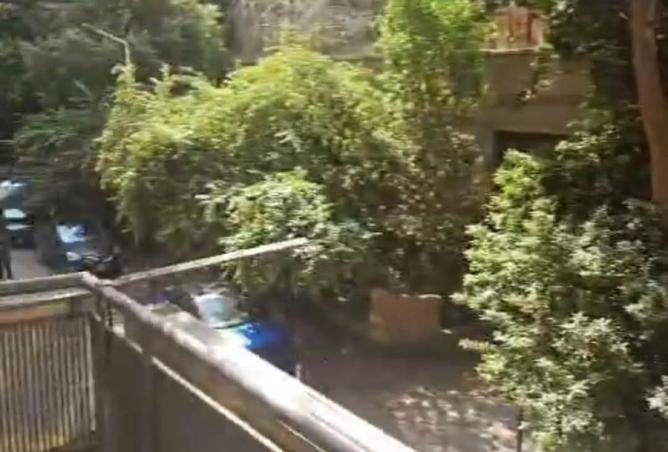 8236688 - صورة العقار 2