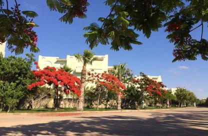 Chalet - 3 Bedrooms - 2 Bathrooms for sale in Agadir - Markaz Al Hamam - North Coast