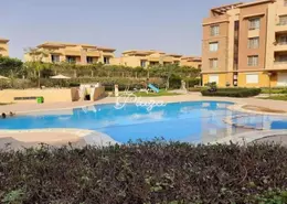 Apartment - 2 Bedrooms - 2 Bathrooms for rent in Jewar - 13th District - Sheikh Zayed City - Giza