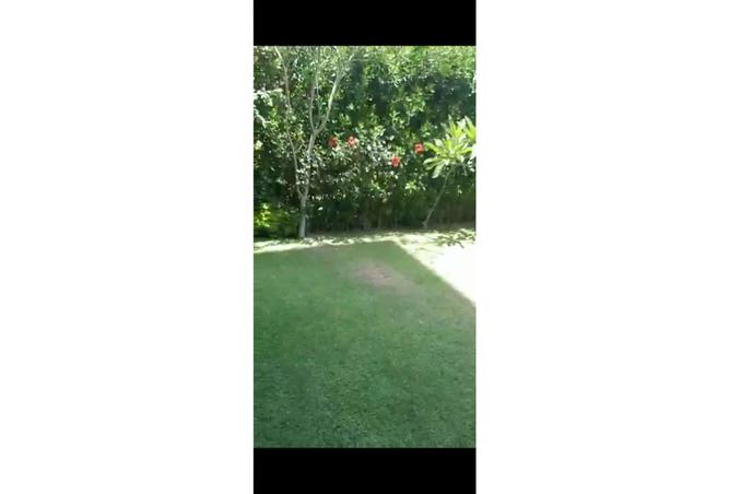 8320714 - صورة العقار 3