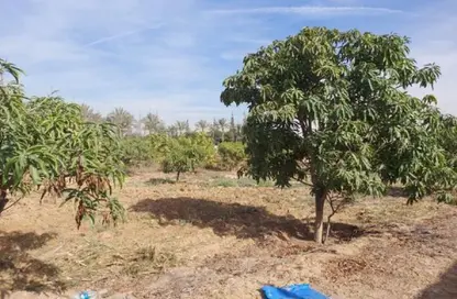 Land - Studio for sale in Gamaiet Ahmed Orabi - Obour City - Qalyubia