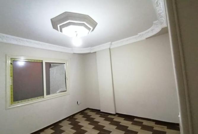 8385692 - Property Image 2