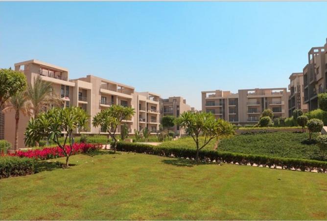 8440462 - Property Image 3