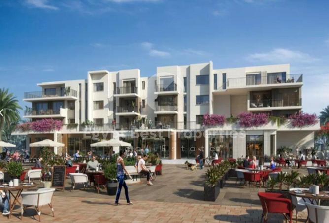 8561810 - Property Image 2