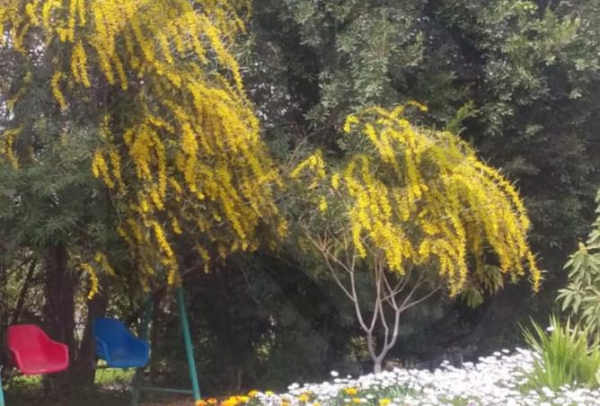 7988814 - Property Image 3