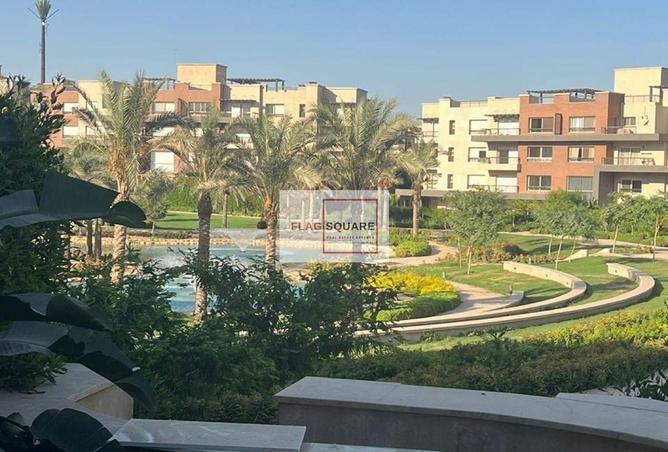 8243816 - Property Image 3