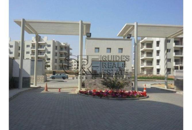 8073806 - Property Image 2