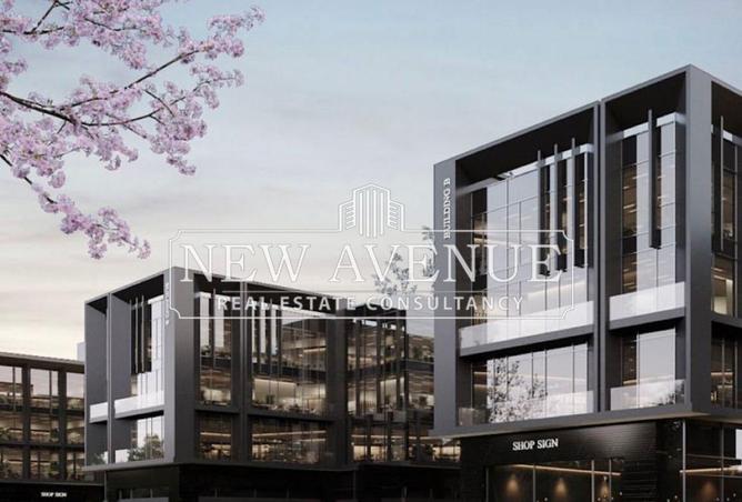 8234529 - Property Image 3