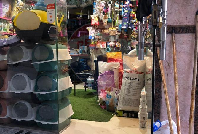 5374608 - Property Image 2