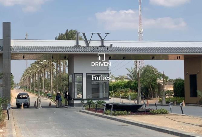 8221638 - Property Image 3