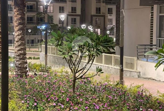 7956870 - صورة العقار 3