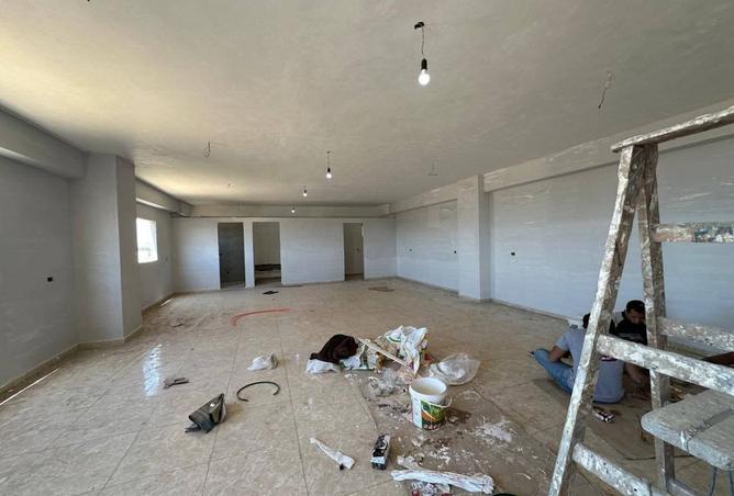 8398432 - Property Image 3