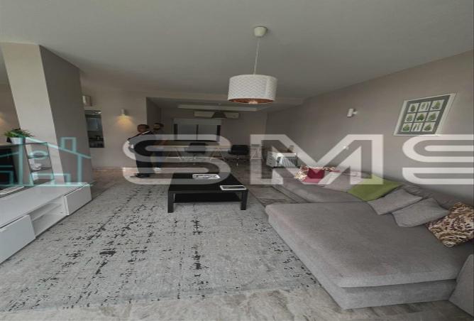 7979936 - Property Image 3