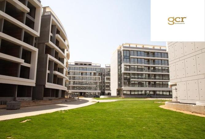 8403202 - صورة العقار 2