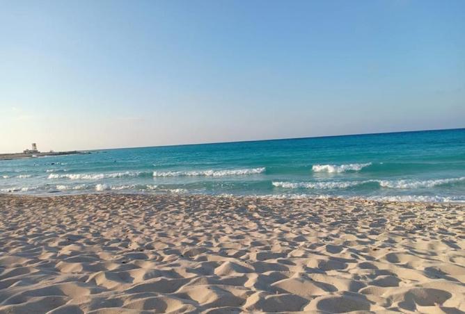7909423 - صورة العقار 3
