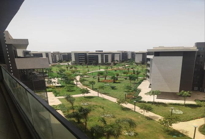 7990397 - صورة العقار 2