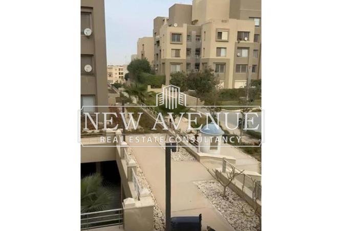 8139619 - Property Image 3