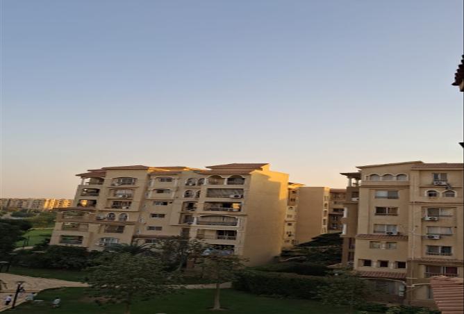 7979341 - Property Image 2