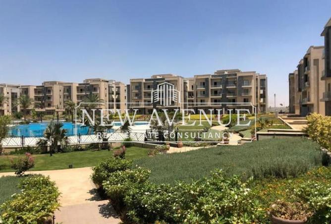 8025871 - Property Image 2