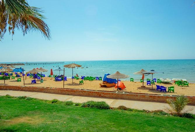 8246274 - صورة العقار 2