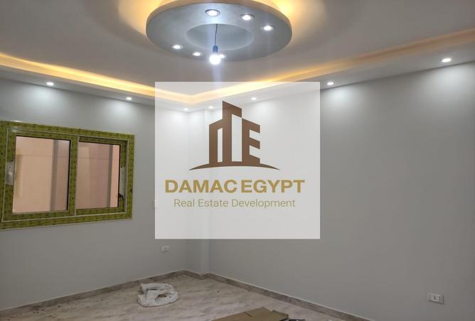 7984393 - Property Image 3
