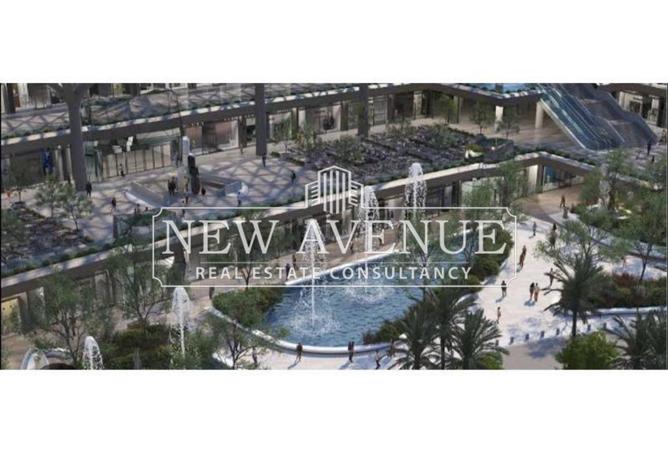 8208250 - Property Image 2