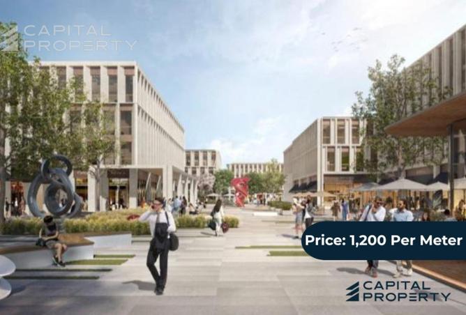 8197833 - Property Image 2