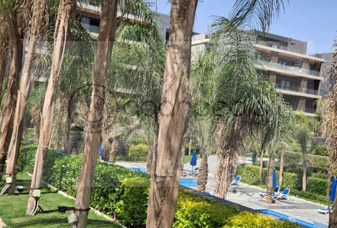 7588022 - Property Image 3