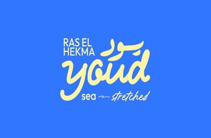 Chalet - 2 Bedrooms - 2 Bathrooms for sale in Youd - Ras Al Hekma - North Coast