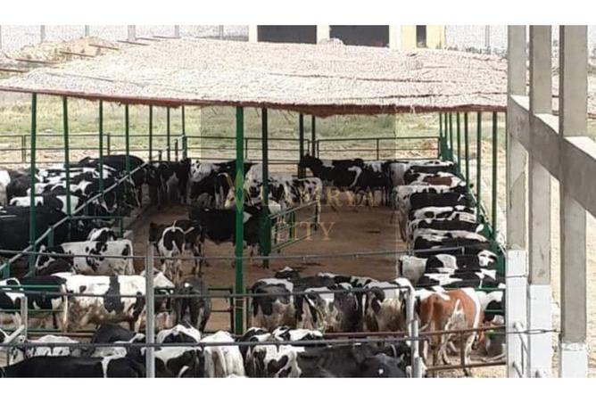 8194672 - Property Image 2