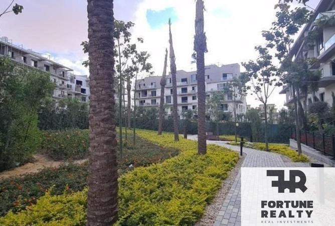 8376259 - Property Image 2