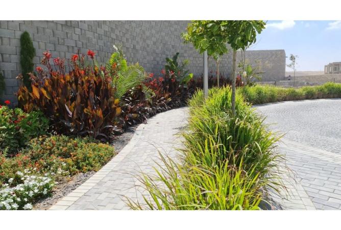 8234773 - صورة العقار 2